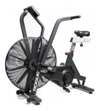 Rogue Echo Bike