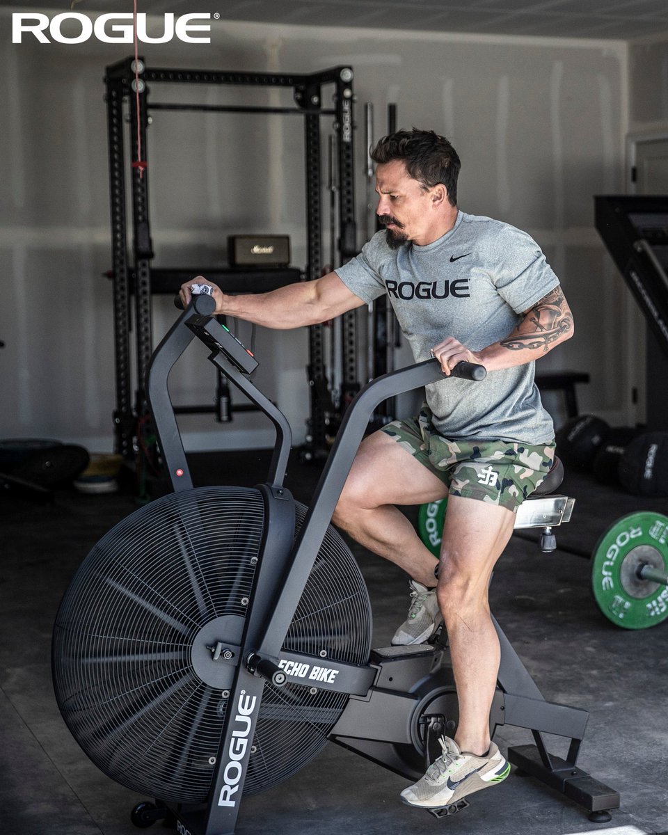 Rogue Echo Bike